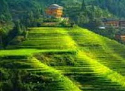 Nagaland Tribal Tour