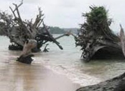 Andaman Summer Special Holiday Package