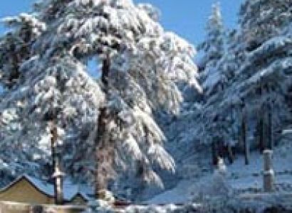 Delhi Manali Tour by Volvo