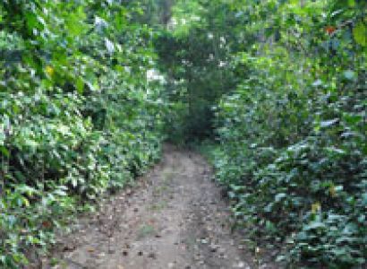 Andaman Gold Package 3