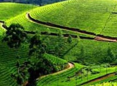 Munnar Tour Package