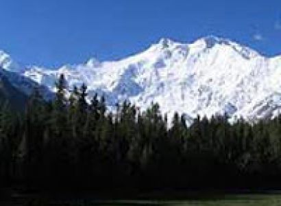 Kashmir Paradsie on Earth Tour