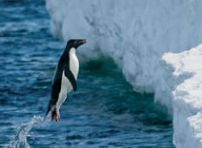 Explore Andaman Package