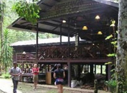 Jungles and Orangutans Malaysia Tour