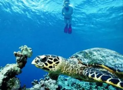 Bangkok - Pattaya Tour