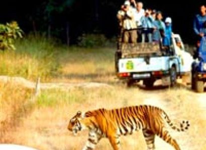 Valleys of Kashmir Tour