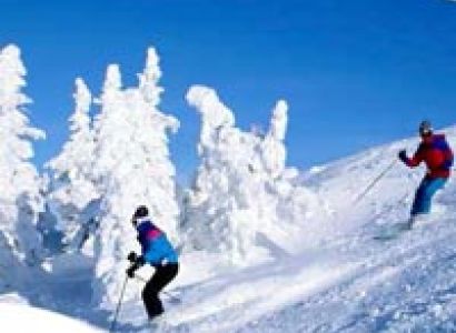 Shimla - Manali - Chandigarh -  Delhi Honeymoon Tour Package
