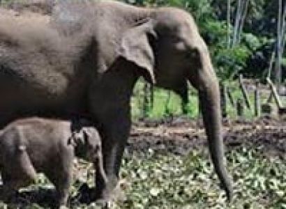 07 Days Special Offer Tour