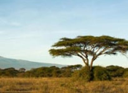 Trekking and Walking Tour - East Africa Mountain Trekking