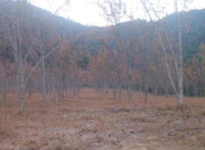 Chitlang Village Tour