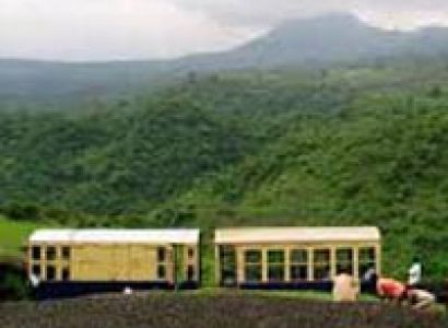 Himachal Highlight with Kasauli Tour