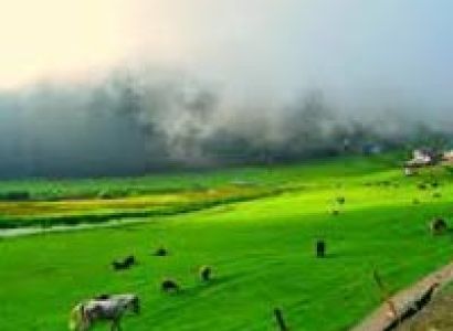 Splendid Dalhousie Khajjiar Tour