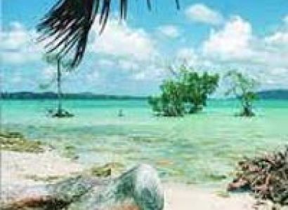 Havelock Beach Fun Tour