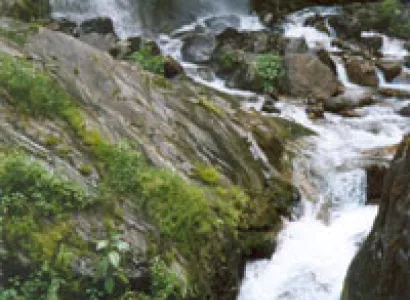 Dharamsala - Kullu - Manali Tour