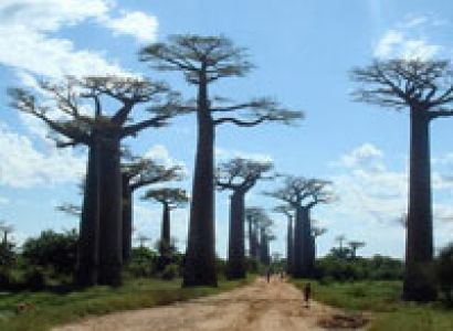 Madagascar Discovery Package