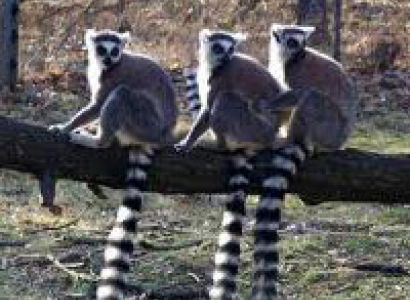 Madagascar Trek Tour