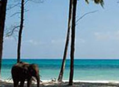 Special Honeymoon Tour in Andaman