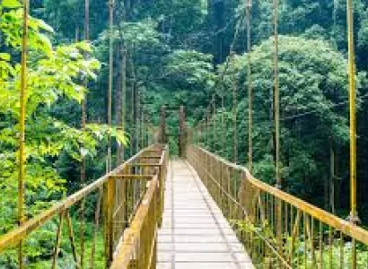 Southindia Tour Package 7 Nights 8 Days