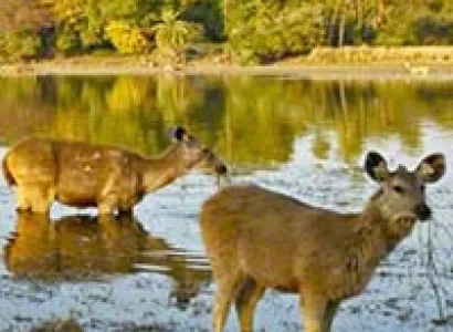 Indian Wilderness Tour