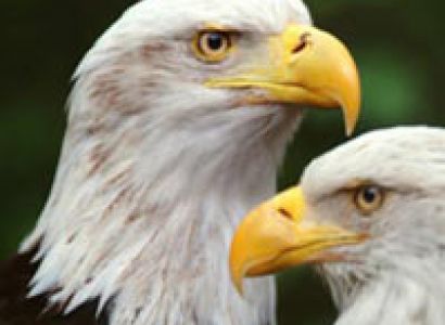 7 Days Kenya Budget Lodge Safari - Lake Tour