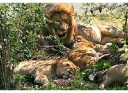 7 Days Kakamega Forest and Lake Victoria Tour