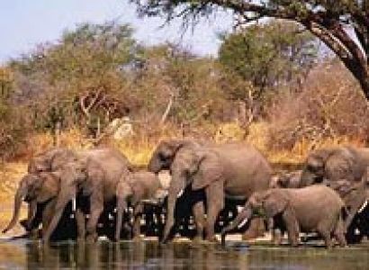 Victoria Falls And Chobe Tour