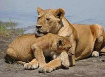 3 days 2 nights Safari Tarangire and Ngorongoro Tour