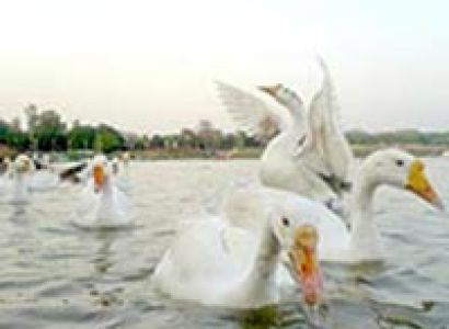 Chandigarh - Kurukshetra Tour