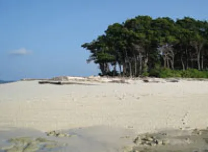 Luxurious Tour of Emeralds