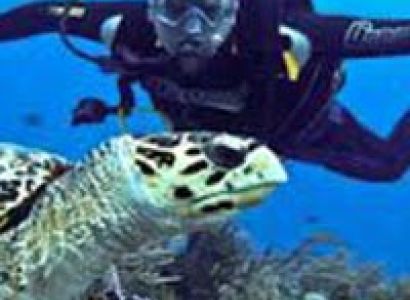 Complete Andaman Package