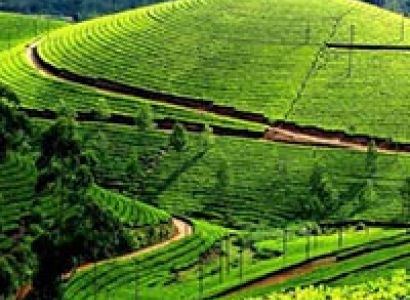 Bangalore Mysore Ooty Tour