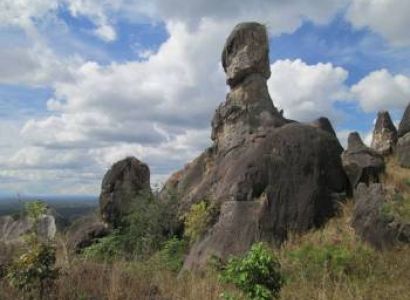 Coorg Wayanad Mysore from Bangalore  Tour