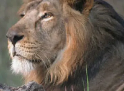 GUJARAT - Tribes and Cultural Highlights Tour