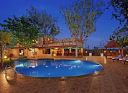 Gir Lion Safari Package