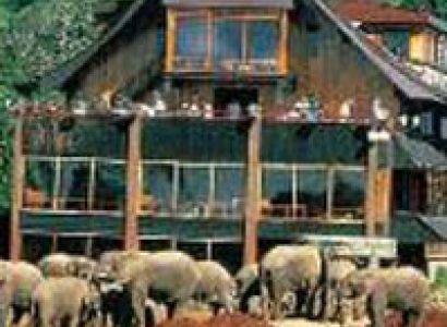 Aberdare, Lake Nakuru and Masai Mara Game Reserve Tour