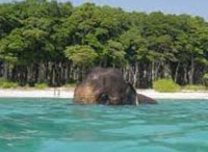 Andaman Island Honeymoon Tour