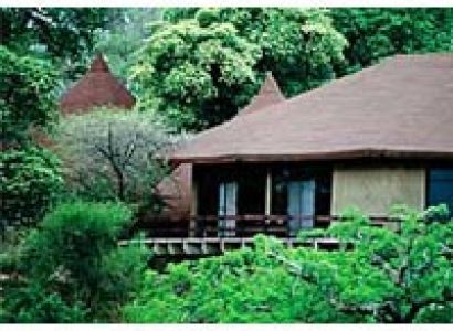 Luxury Lodges Safaris (5*Accommodation) All Inclusive Tour