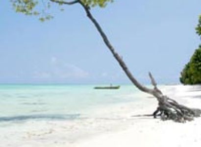 Compendious of Andaman Tour