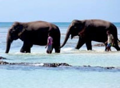 Emerald Delight Tour