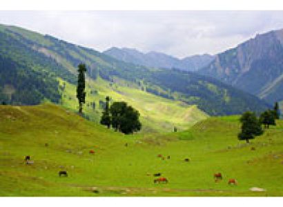 Explore Kashmir