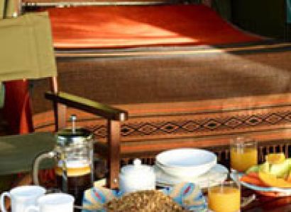 Family of 5 Members on Tour