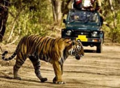 New Delhi - Nainital - Jim Corbett Tour