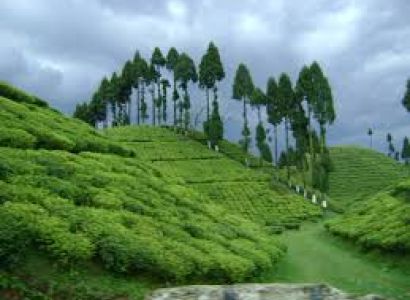 Gangtok & Darjeeling Tour