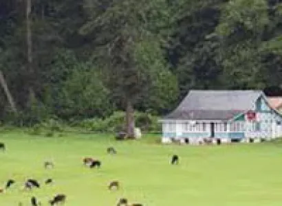 Dalhousie Honeymoon Tour