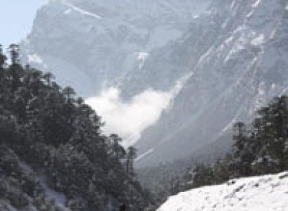 Family Package Image