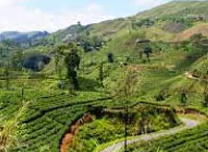Sri Lanka Package