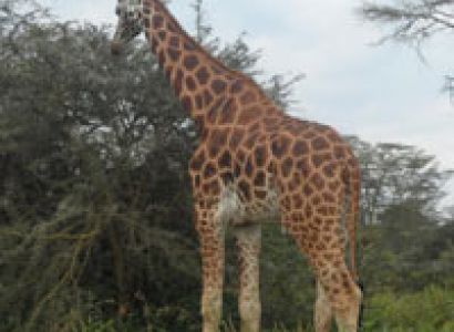 Lake Turkana Camping Safari in Kenya
