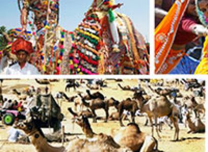 Pushkar Fair Tour