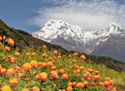 Annapurna Base Camp Trekking Tour