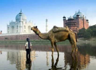 Taj Heritage Tour